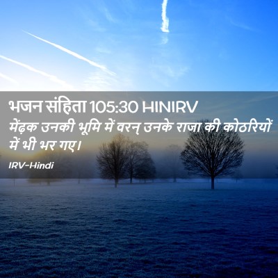 Picture 02 - भजन संहिता 105:30 HINIRV - मेंढ़क उनकी भूमि - Bible Verse Picture