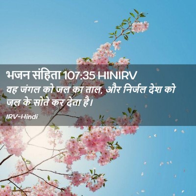 Picture 02 - भजन संहिता 107:35 HINIRV - वह जंगल को जल का - Bible Verse Picture