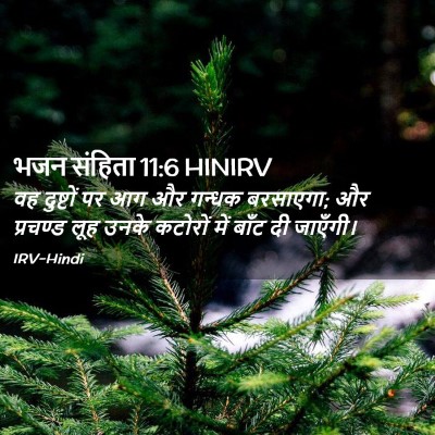 Picture 02 - भजन संहिता 11:6 HINIRV - वह दुष्टों पर आग और - Bible Verse Picture