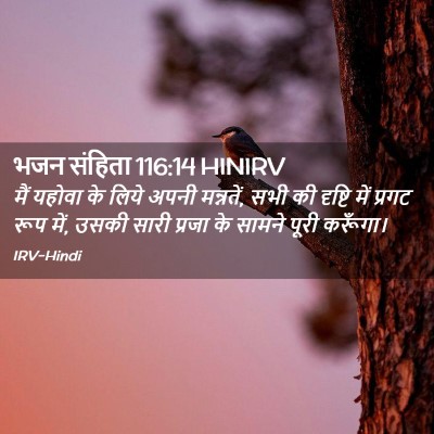 Picture 02 - भजन संहिता 116:14 HINIRV - मैं यहोवा के लिये - Bible Verse Picture