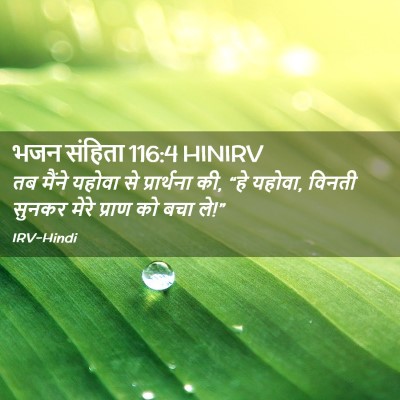 Picture 02 - भजन संहिता 116:4 HINIRV - तब मैंने यहोवा से - Bible Verse Picture