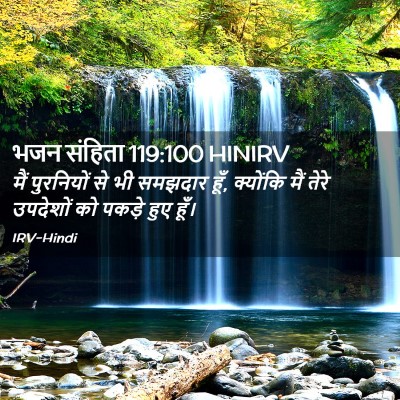 Picture 02 - भजन संहिता 119:100 HINIRV - मैं पुरनियों से भी - Bible Verse Picture