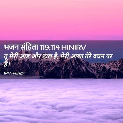 Picture 02 - भजन संहिता 119:114 HINIRV - तू मेरी आड़ और ढाल - Bible Verse Picture