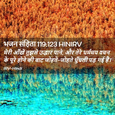 Picture 02 - भजन संहिता 119:123 HINIRV - मेरी आँखें तुझसे - Bible Verse Picture