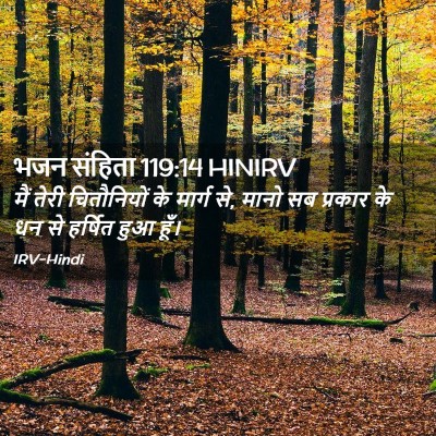 Picture 02 - भजन संहिता 119:14 HINIRV - मैं तेरी - Bible Verse Picture