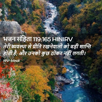Picture 02 - भजन संहिता 119:165 HINIRV - तेरी व्यवस्था से - Bible Verse Picture