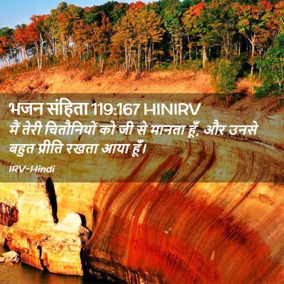 Picture 02 - भजन संहिता 119:167 HINIRV - मैं तेरी - Bible Verse Picture