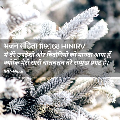 Picture 02 - भजन संहिता 119:168 HINIRV - मैं तेरे उपदेशों - Bible Verse Picture