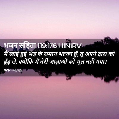 Picture 02 - भजन संहिता 119:176 HINIRV - मैं खोई हुई भेड़ के - Bible Verse Picture