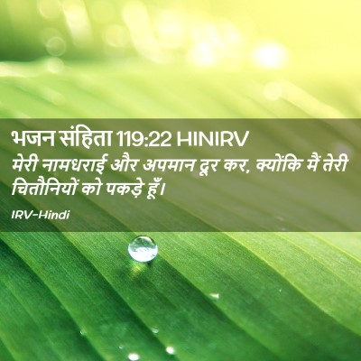 Picture 02 - भजन संहिता 119:22 HINIRV - मेरी नामधराई और - Bible Verse Picture