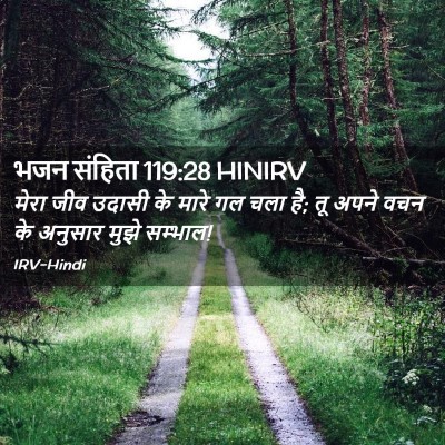Picture 02 - भजन संहिता 119:28 HINIRV - मेरा जीव उदासी के - Bible Verse Picture