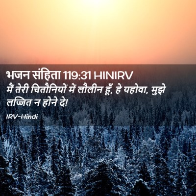 Picture 02 - भजन संहिता 119:31 HINIRV - मैं तेरी - Bible Verse Picture