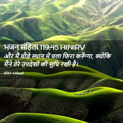 Picture 02 - भजन संहिता 119:45 HINIRV - और मैं चौड़े स्थान - Bible Verse Picture