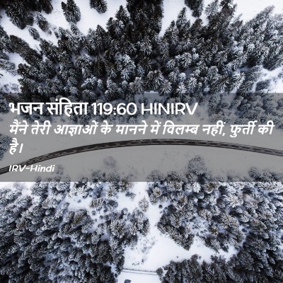 Picture 02 - भजन संहिता 119:60 HINIRV - मैंने तेरी - Bible Verse Picture