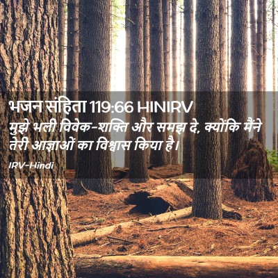 Picture 02 - भजन संहिता 119:66 HINIRV - मुझे भली - Bible Verse Picture