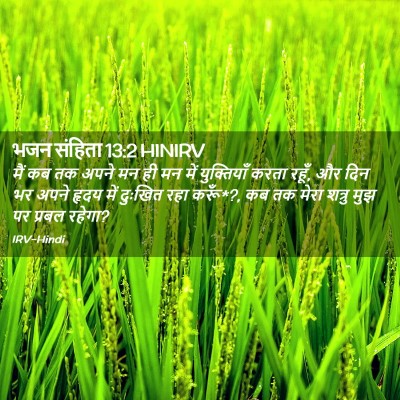 Picture 02 - भजन संहिता 13:2 HINIRV - मैं कब तक अपने मन - Bible Verse Picture