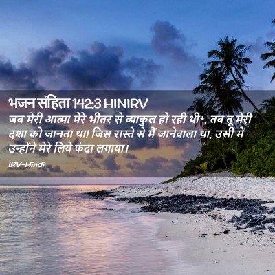 Picture 02 - भजन संहिता 142:3 HINIRV - जब मेरी आत्मा मेरे - Bible Verse Picture