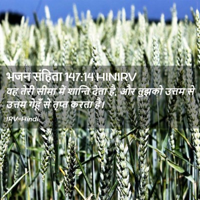Picture 02 - भजन संहिता 147:14 HINIRV - वह तेरी सीमा में - Bible Verse Picture