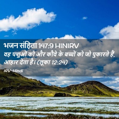 Picture 02 - भजन संहिता 147:9 HINIRV - वह पशुओं को और कौवे - Bible Verse Picture