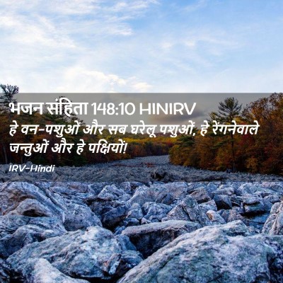 Picture 02 - भजन संहिता 148:10 HINIRV - हे वन-पशुओं और सब - Bible Verse Picture