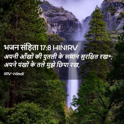 Picture 02 - भजन संहिता 17:8 HINIRV - अपनी आँखों की - Bible Verse Picture