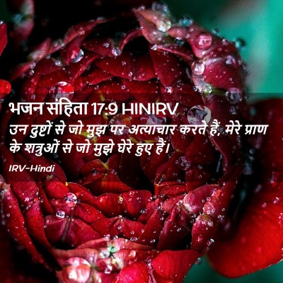 Picture 02 - भजन संहिता 17:9 HINIRV - उन दुष्टों से जो - Bible Verse Picture