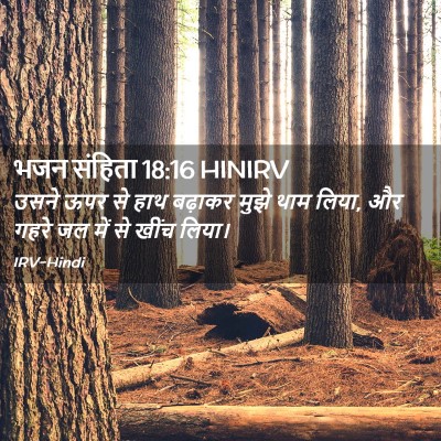 Picture 02 - भजन संहिता 18:16 HINIRV - उसने ऊपर से हाथ - Bible Verse Picture