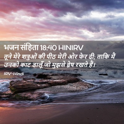 Picture 02 - भजन संहिता 18:40 HINIRV - तूने मेरे शत्रुओं - Bible Verse Picture