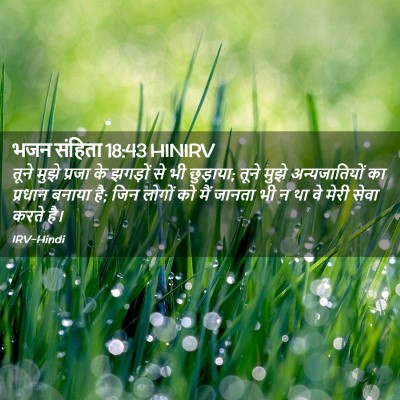 Picture 02 - भजन संहिता 18:43 HINIRV - तूने मुझे प्रजा के - Bible Verse Picture