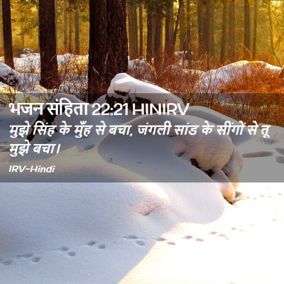 Picture 02 - भजन संहिता 22:21 HINIRV - मुझे सिंह के मुँह - Bible Verse Picture