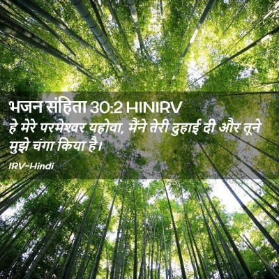 Picture 02 - भजन संहिता 30:2 HINIRV - हे मेरे परमेश्‍वर - Bible Verse Picture