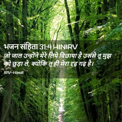 Picture 02 - भजन संहिता 31:4 HINIRV - जो जाल उन्होंने - Bible Verse Picture
