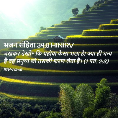 Picture 02 - भजन संहिता 34:8 HINIRV - चखकर देखो* कि यहोवा - Bible Verse Picture