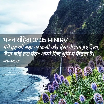 Picture 02 - भजन संहिता 37:35 HINIRV - मैंने दुष्ट को - Bible Verse Picture