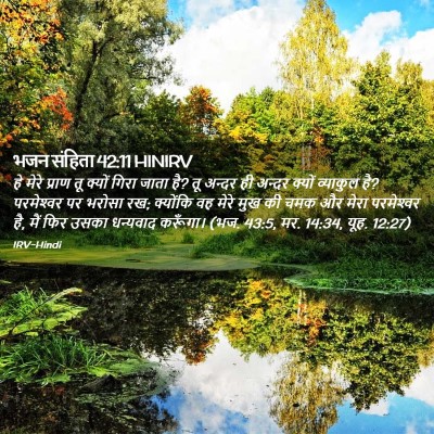 Picture 02 - भजन संहिता 42:11 HINIRV - हे मेरे प्राण तू - Bible Verse Picture