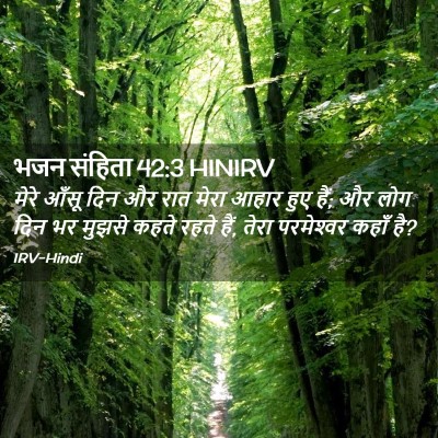 Picture 02 - भजन संहिता 42:3 HINIRV - मेरे आँसू दिन और - Bible Verse Picture