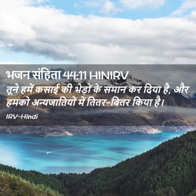 Picture 02 - भजन संहिता 44:11 HINIRV - तूने हमें कसाई की - Bible Verse Picture