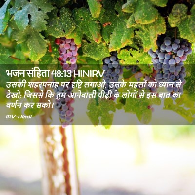Picture 02 - भजन संहिता 48:13 HINIRV - उसकी शहरपनाह पर - Bible Verse Picture