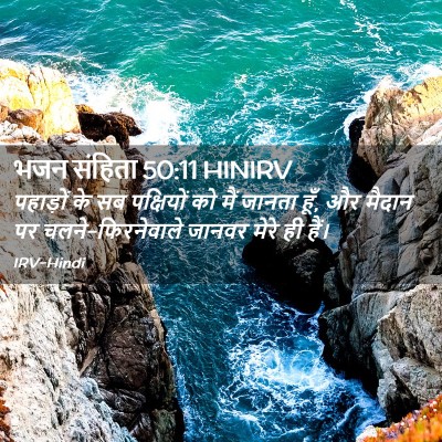 Picture 02 - भजन संहिता 50:11 HINIRV - पहाड़ों के सब - Bible Verse Picture