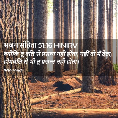 Picture 02 - भजन संहिता 51:16 HINIRV - क्योंकि तू बलि से - Bible Verse Picture