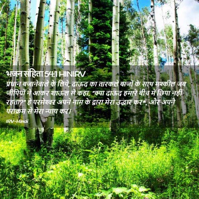 Picture 02 - भजन संहिता 54:1 HINIRV - प्रधान बजानेवाले - Bible Verse Picture