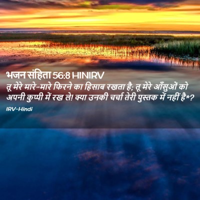 Picture 02 - भजन संहिता 56:8 HINIRV - तू मेरे मारे-मारे - Bible Verse Picture