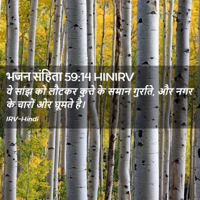 Picture 02 - भजन संहिता 59:14 HINIRV - वे सांझ को लौटकर - Bible Verse Picture