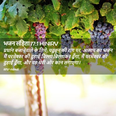 Picture 02 - भजन संहिता 77:1 HINIRV - प्रधान बजानेवाले - Bible Verse Picture