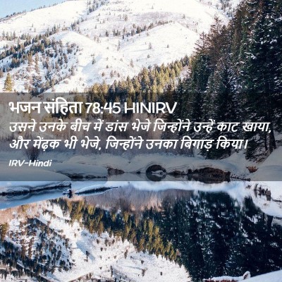 Picture 02 - भजन संहिता 78:45 HINIRV - उसने उनके बीच में - Bible Verse Picture