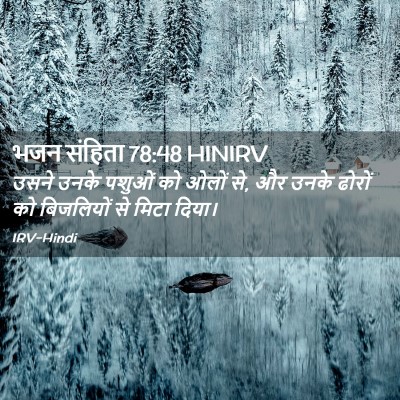 Picture 02 - भजन संहिता 78:48 HINIRV - उसने उनके पशुओं को - Bible Verse Picture