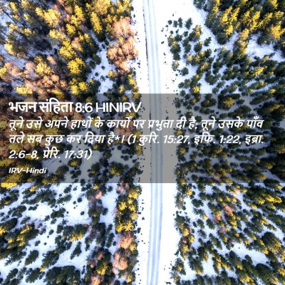 Picture 02 - भजन संहिता 8:6 HINIRV - तूने उसे अपने - Bible Verse Picture
