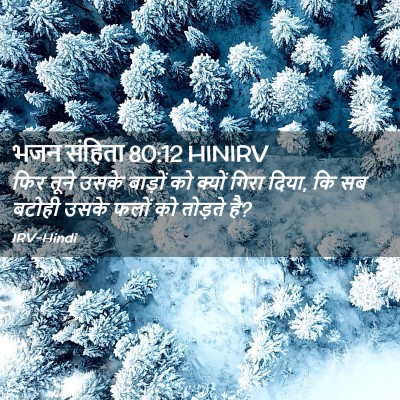 Picture 02 - भजन संहिता 80:12 HINIRV - फिर तूने उसके - Bible Verse Picture