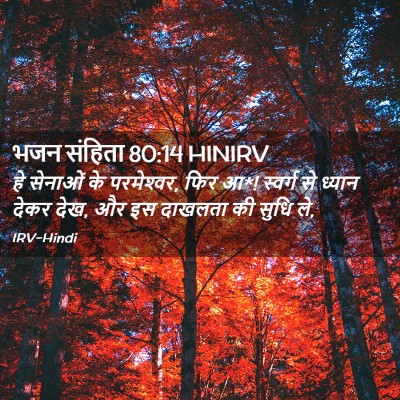 Picture 02 - भजन संहिता 80:14 HINIRV - हे सेनाओं के - Bible Verse Picture