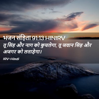 Picture 02 - भजन संहिता 91:13 HINIRV - तू सिंह और नाग को - Bible Verse Picture